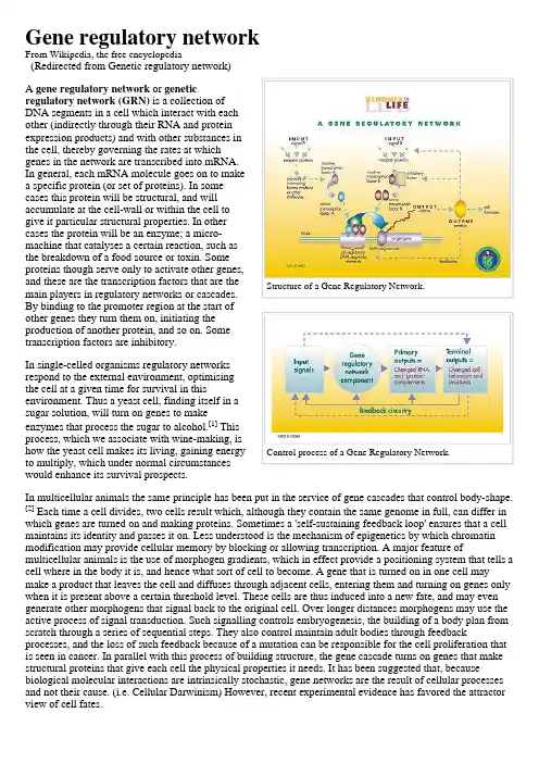 Genetic regulatory network——基因调控网络知识点