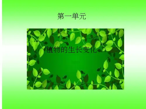 三年级下册科学第一单元ppt课件