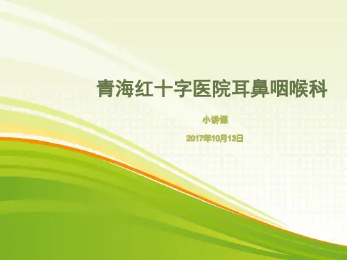 小讲课慢性鼻炎PPT课件