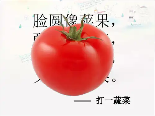 蔬菜宝宝我爱你