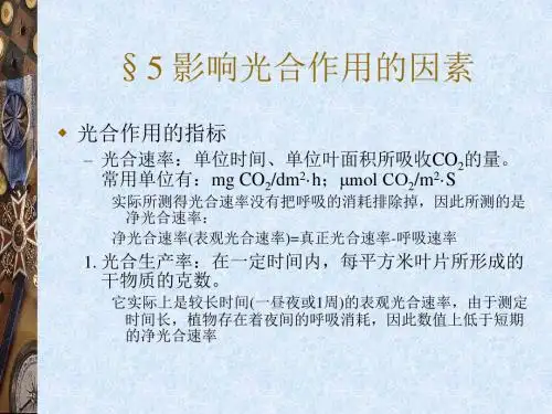 影响光合作用的因素资料
