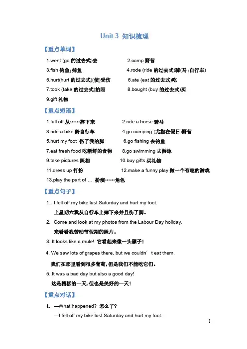 人教版六年级英语下册Unit 3 知识梳理