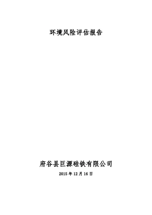 风险评估报告 2