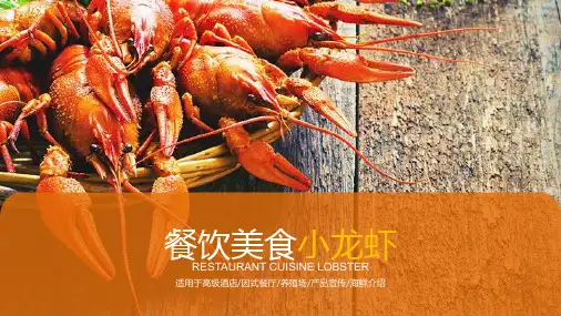 麻辣小龙虾背景模版