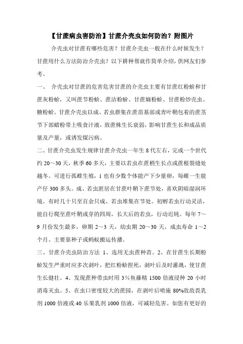 【甘蔗病虫害防治】甘蔗介壳虫如何防治？附图片