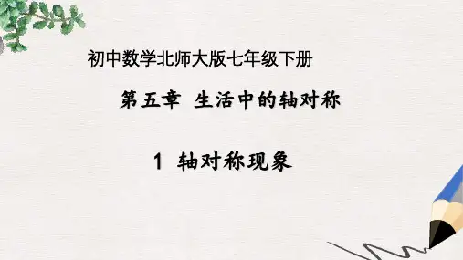 七年级数学下册5.1轴对称现象课件新版北师大版