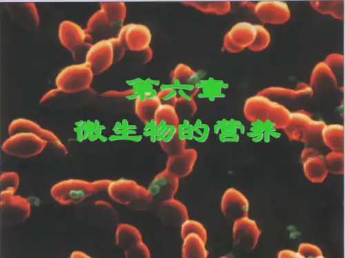 第六章 微生物的营养