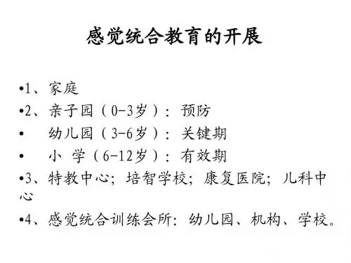 2感觉统合