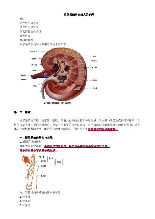 泌尿系统疾病病人的护理