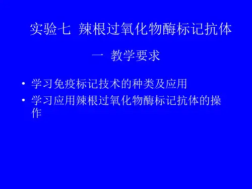 lab7辣根过氧化物酶标记抗体.ppt