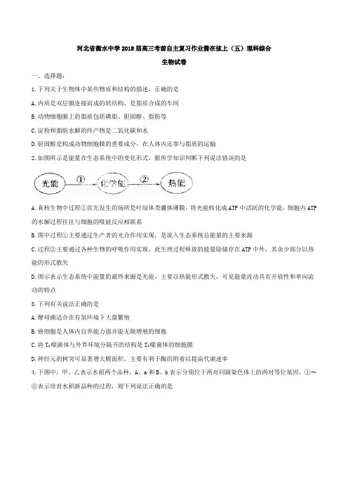 【全国百强校word】河北省衡水中学2018届高三考前自主复习作业箭在弦上(五)理科综合生物试卷
