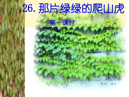 26_那片绿绿的爬山虎(1课时改)ppt