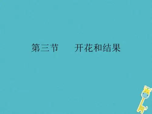 2018年七年级生物上册3.2.3开花和结果课件新版新人教版20180815529
