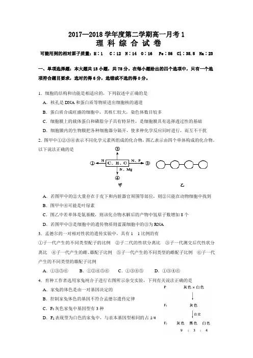 广东省揭西县河婆中学2017-2018学年高一下学期月考生物试题 1