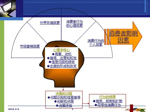 第四章-影响网络消费者购买行为的市场营销因素PPT课件