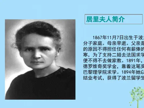 八年级语文上册8.美丽的颜色ppt课件(人教版)-2019精选