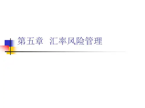 汇率风险管理(1)
