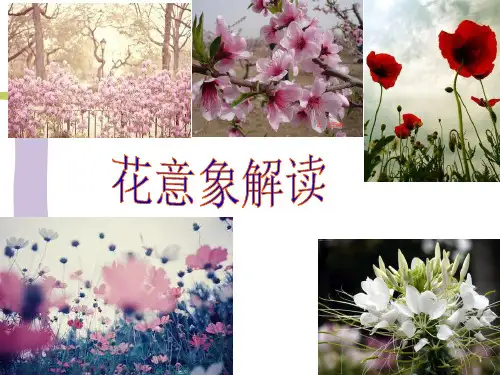 花意象解读