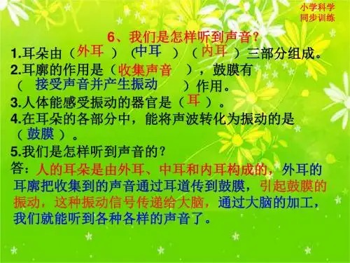 教科版四年级科学上册3.6我们是怎样听到声音的 公开课优质课件