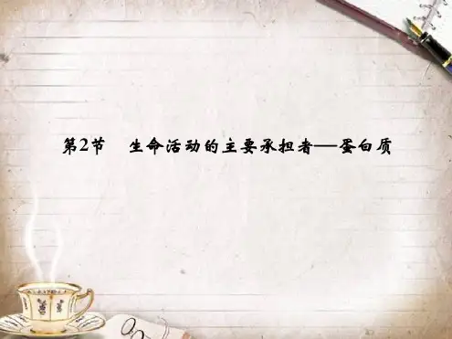 高效课堂同步课件：22生命活动的主要承担者─蛋白质(必修1)