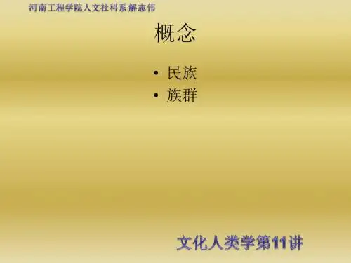 文化人类学第11讲,族群