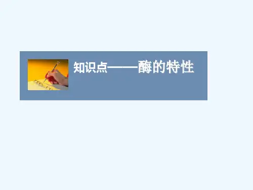 知识点-酶的特性