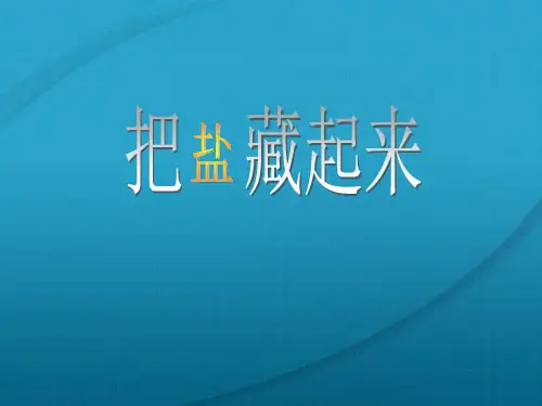 【精品】春三年级科学下册 4.1《把盐藏起来》课件6 大象版-大象版小学三年级下册自然科学课件