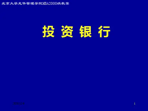 北大投资银行课程讲义(5)PPT课件