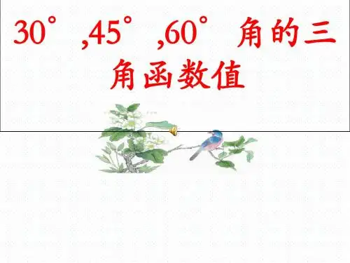 北师大版九年级数学下册1.2  30°、45°、60°特殊角的三角函数值