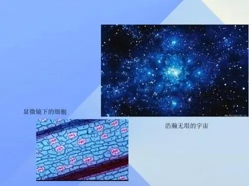八年级物理上册4.7通过透镜看世界课件(新版)教科版(1)