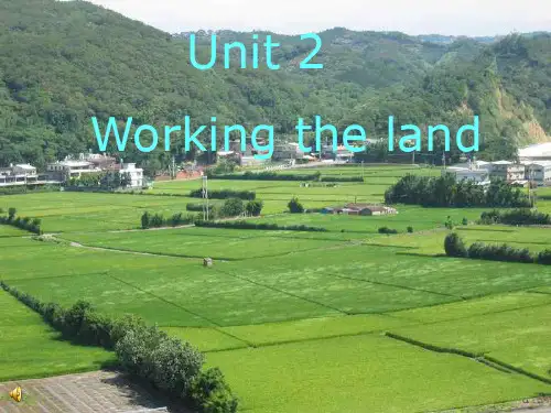 人教高中英语必修4Unit2reading (共28张PPT)