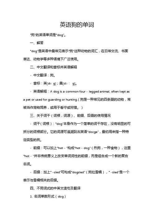 英语狗的单词