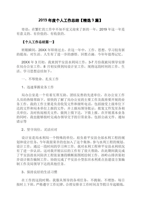 2019年度个人工作总结精选9篇