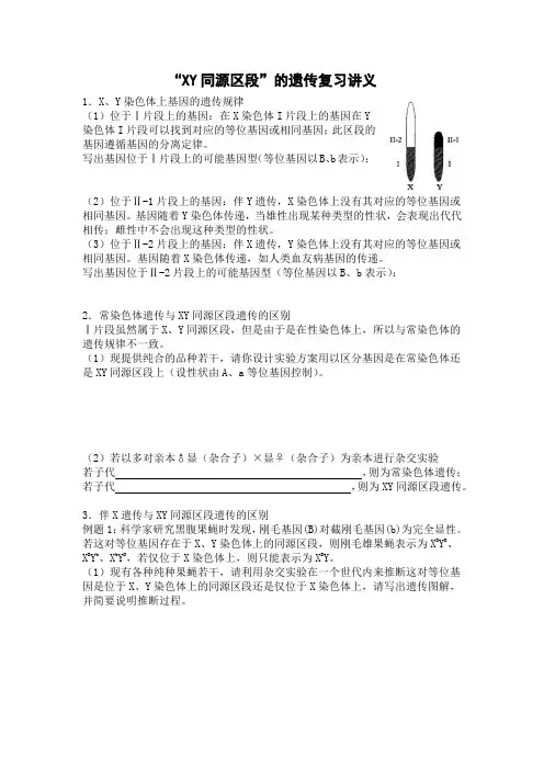 高三XY染色体同源区段加强训练题