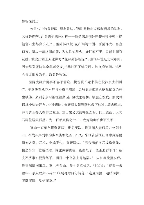 鲁智深简历
