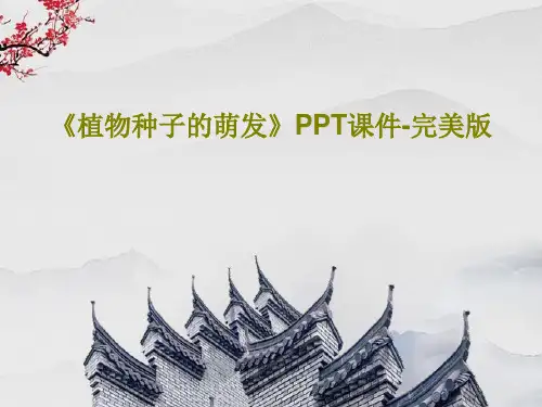 《植物种子的萌发》PPT课件-完美版共32页文档