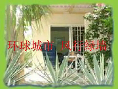 《环球城市 风行绿墙》用