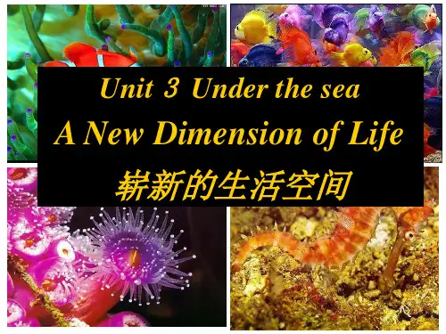 人教高二英语选修七Unit3--Using-language(共36张PPT)高中英语精品公开课
