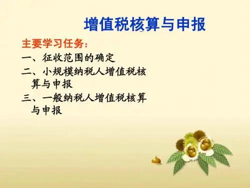 增值税核算与申报