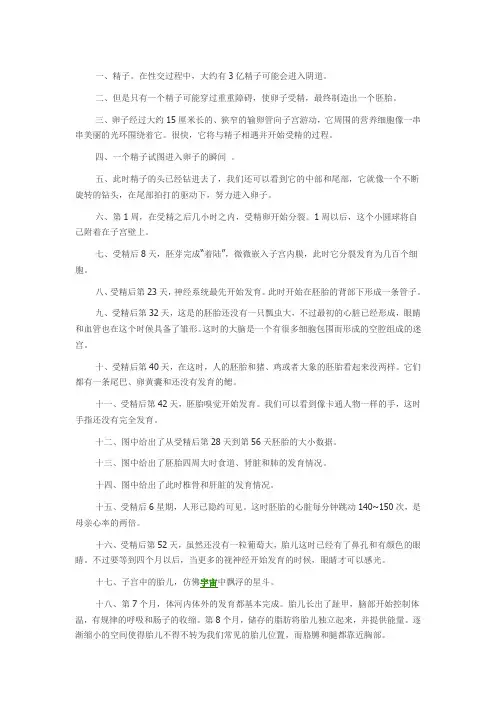 卵子&精子结合过程