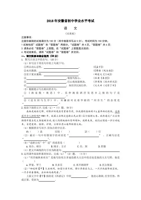2018年安徽省初中学业水平考试-语文
