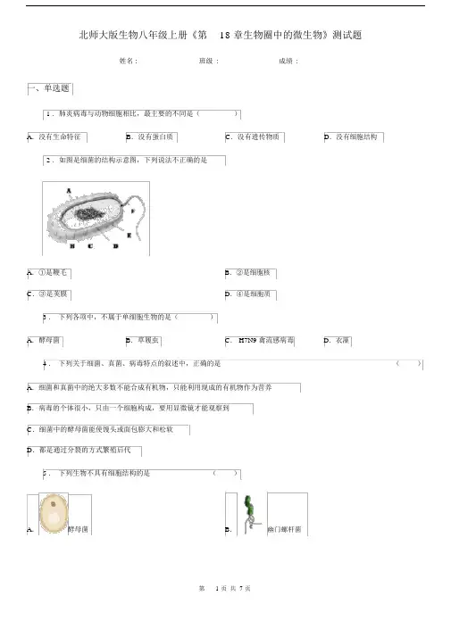 北师大版生物八年级上册《第18章生物圈中的微生物》测试题.docx