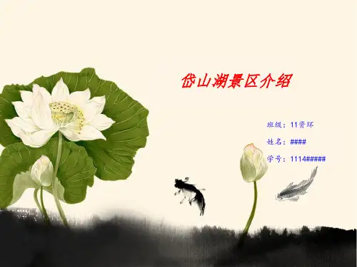 岱山湖景区介绍 2