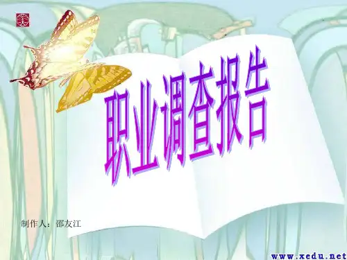 职业调查报告