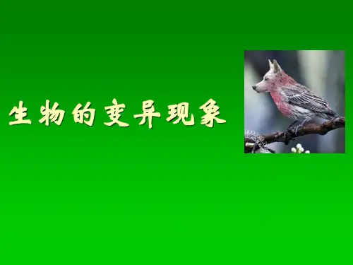 《生物的变异现象》课件 PPT