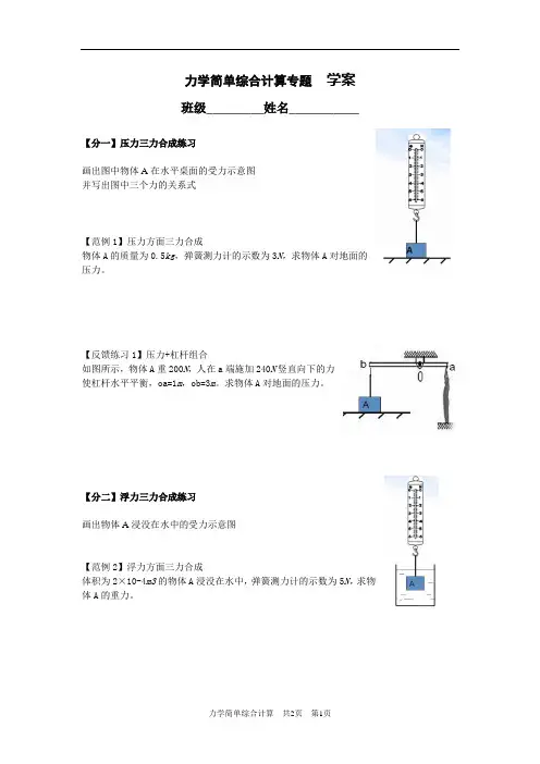 青岛物理中考力学简单综合计算专题 学案