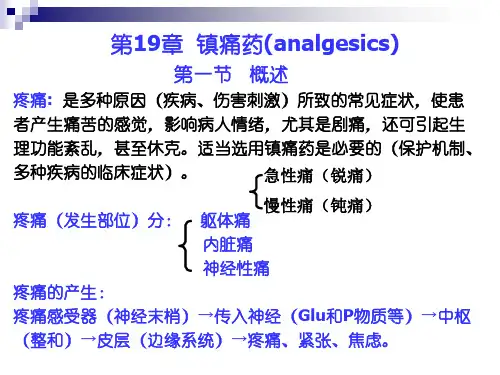 12 镇痛药-09