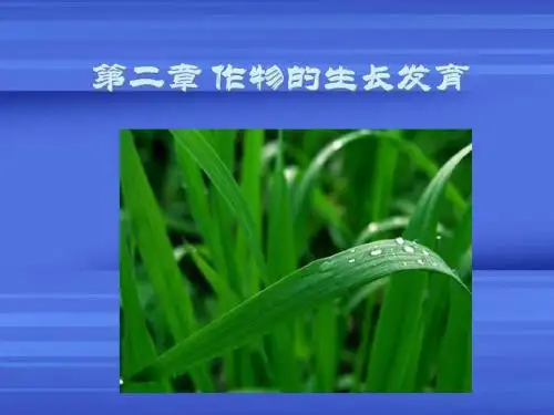 第二章 作物的生长发育