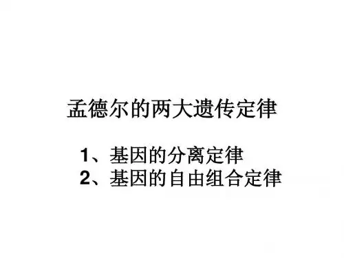 高三复习孟德尔的两大遗传