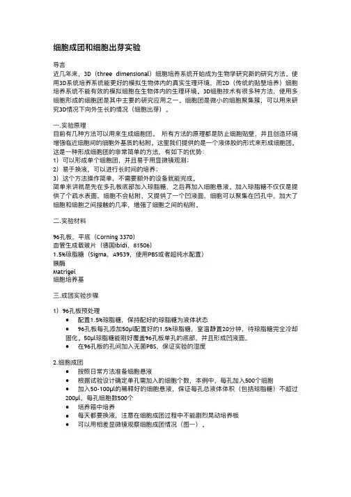 细胞成团和细胞出芽实验-雷萌生物